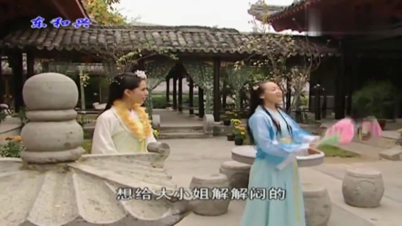 劉伯溫白小姐一肖期期準(zhǔn)，神秘預(yù)測(cè)背后的真相，劉伯溫白小姐生肖預(yù)測(cè)揭秘，神秘預(yù)測(cè)背后的真相