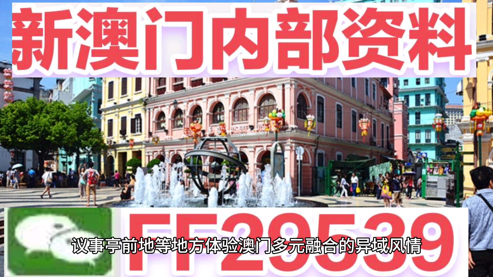 澳門今晚必開一肖一特，揭秘生肖彩票的魅力與策略，澳門生肖彩票揭秘，必開一肖一特的魅力與策略
