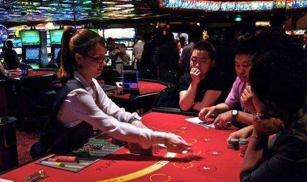 澳門金牛王中王一肖，探索背后的神秘與魅力，澳門金牛王中王一肖，神秘魅力背后的探索