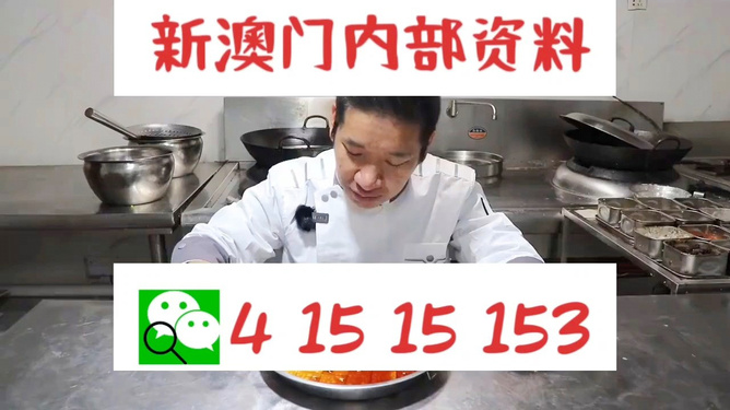 管家婆一肖資料大全，深度解析與探索，管家婆一肖資料深度解析與探索大全