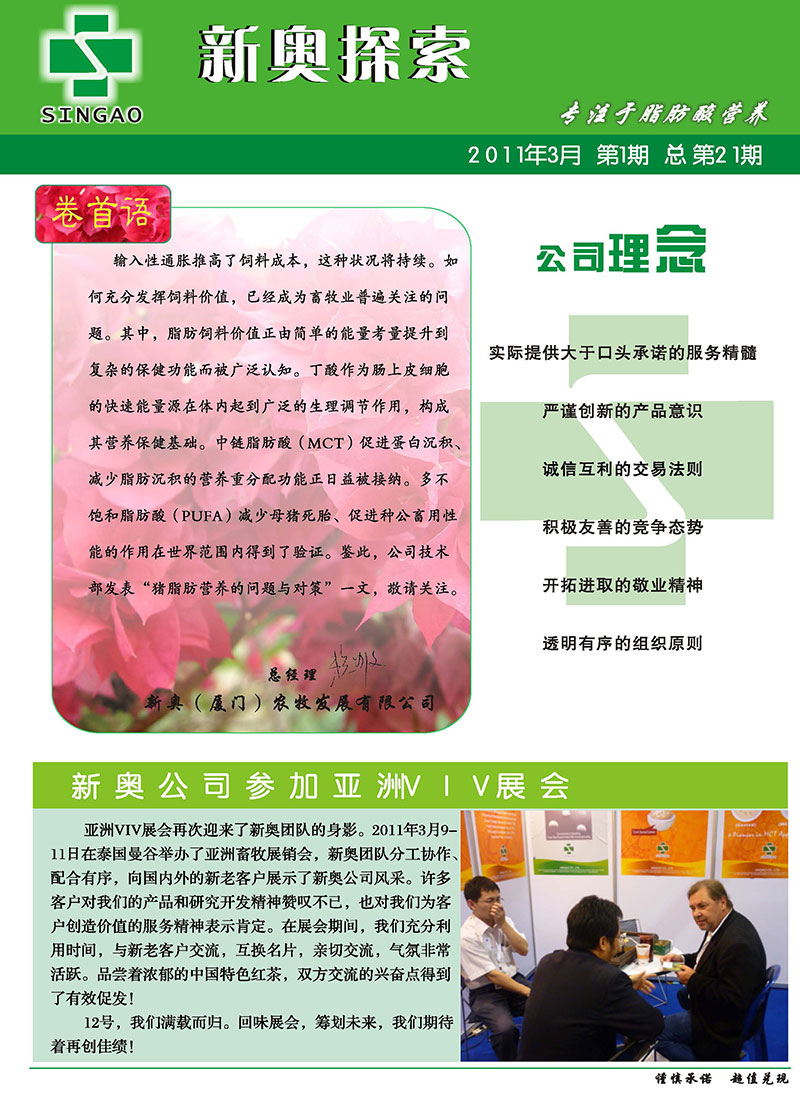 2025新澳正版資料精準解析，2025新澳正版資料精準解析手冊