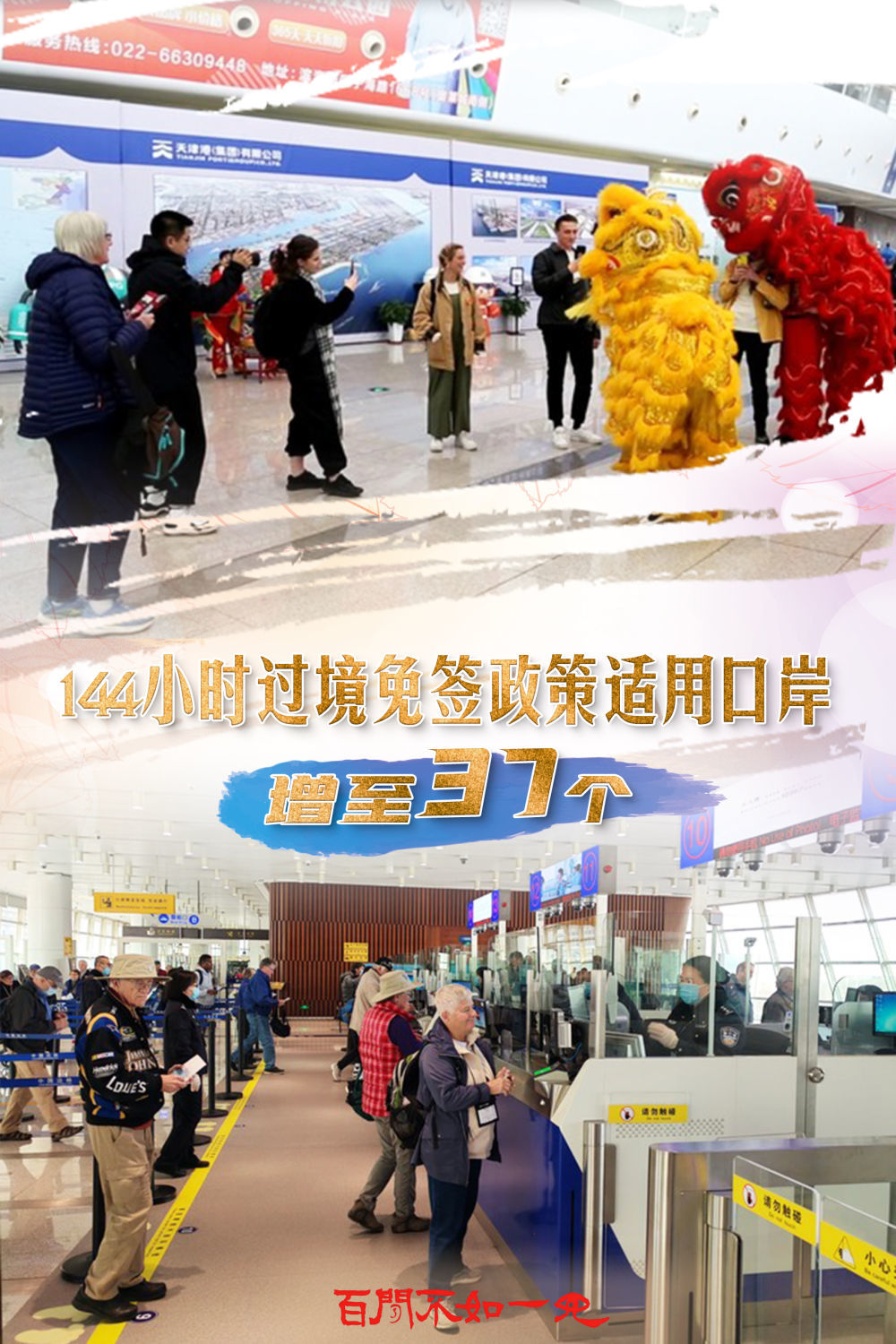 揭秘王中王一碼一肖一特一中，背后的秘密與玄機，揭秘王中王一碼一肖一特一中，背后的秘密與玄機揭秘真相