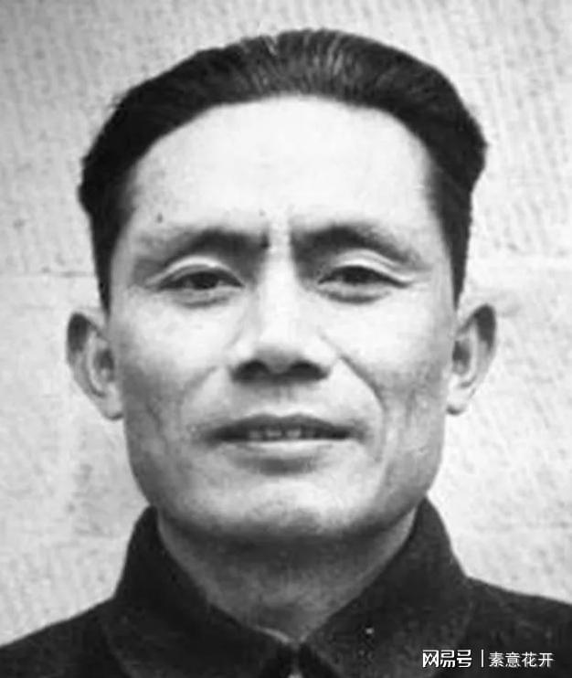 王中王平肖一特，聚焦關(guān)鍵詞背后的故事與成就，王中王平肖一特，關(guān)鍵詞背后的故事與輝煌成就