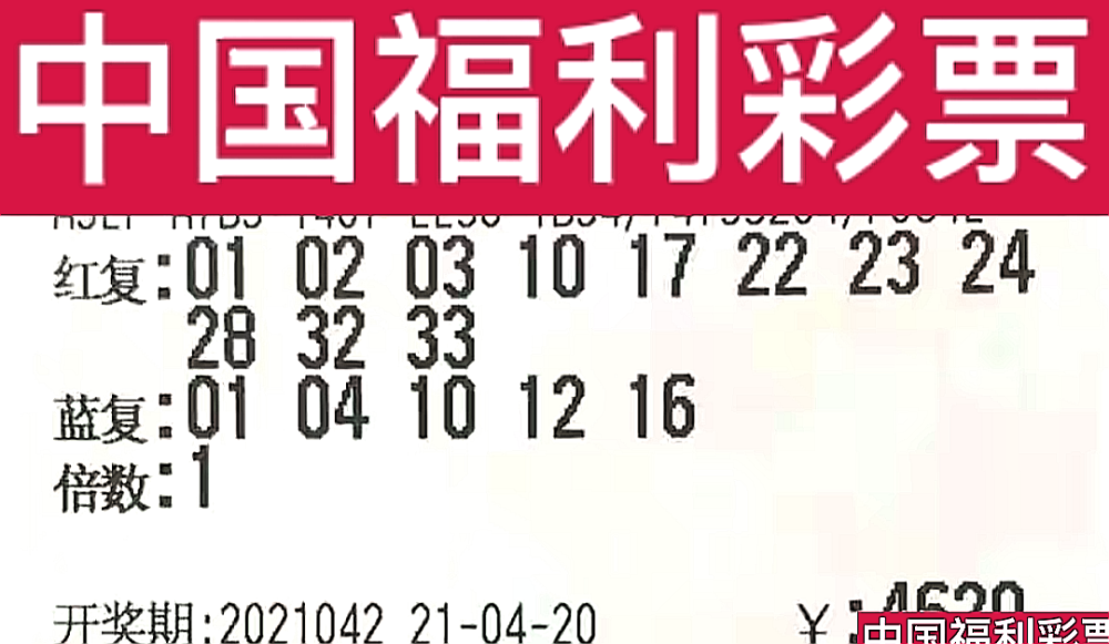 新奧門今晚開獎結(jié)果查詢第243期，全面解析與預(yù)測，新奧門第243期開獎結(jié)果解析與預(yù)測，今晚開獎揭秘