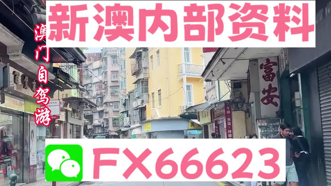 新澳精準(zhǔn)資料免費(fèi)提供，探索與實(shí)踐的指南，新澳精準(zhǔn)資料免費(fèi)分享，探索與實(shí)踐的導(dǎo)航指南