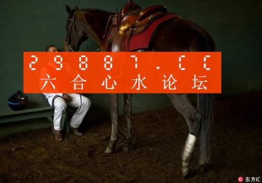 一肖一馬王中王一馬中特，深度解析與SEO優(yōu)化策略，一肖一馬王中王深度解析與SEO優(yōu)化策略探討