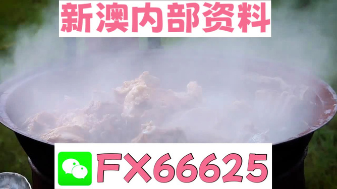 新澳全年免費(fèi)資料大全，一站式獲取優(yōu)質(zhì)資源指南，新澳全年優(yōu)質(zhì)資源免費(fèi)獲取指南