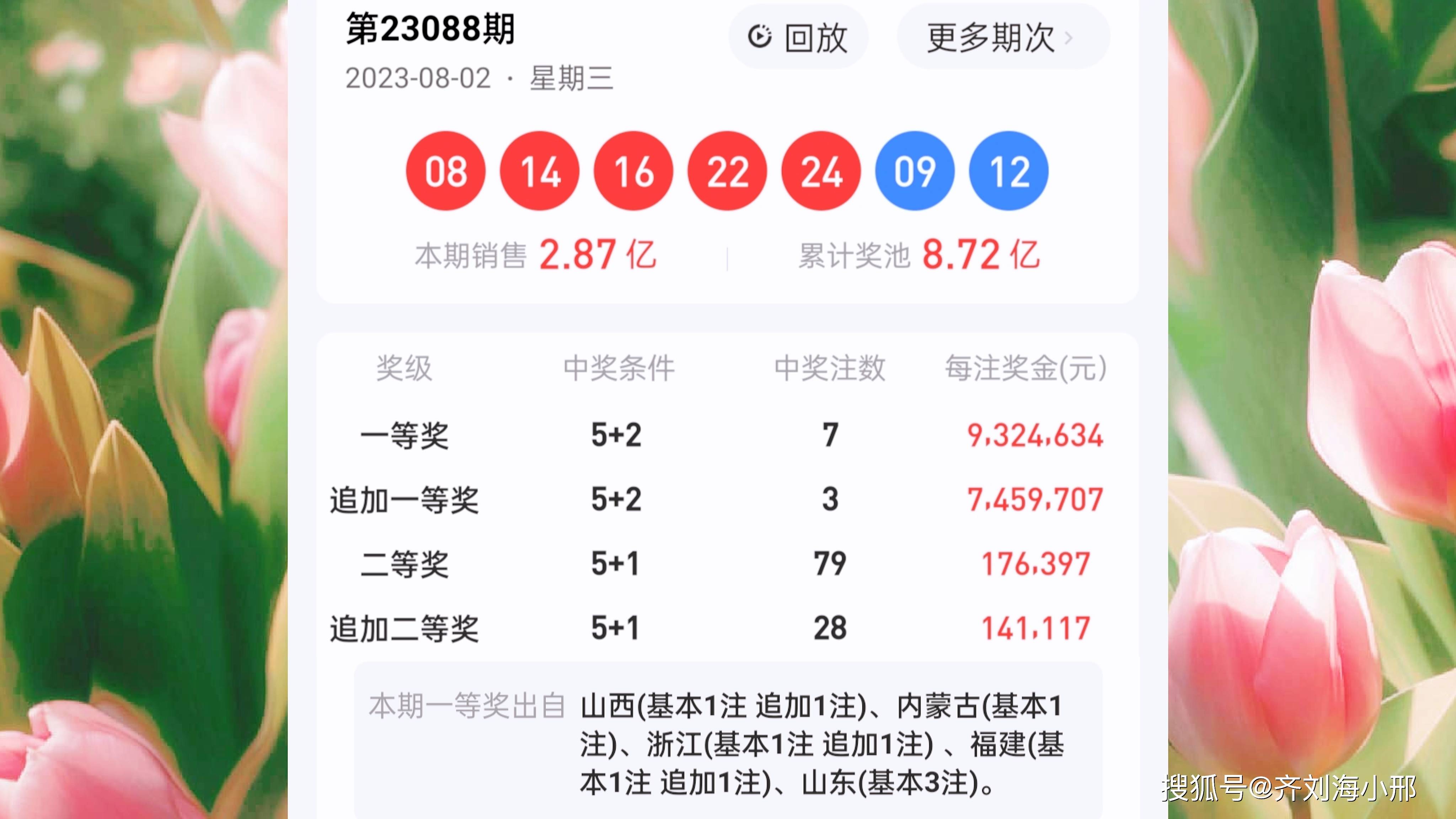 最新開獎結果揭曉，王中王與一肖中的幸運時刻，王中王與一肖中幸運時刻揭曉，最新開獎結果出爐