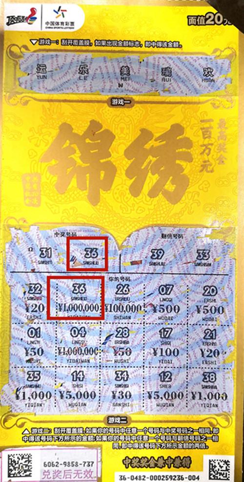 王中王六肖一碼期期中的奧秘與探索，王中王六肖一碼期奧秘揭秘與探索
