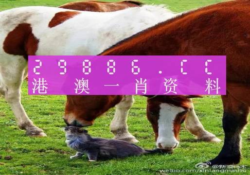 新奧門(mén)一肖一碼，揭秘精準(zhǔn)預(yù)測(cè)的秘密，揭秘新澳門(mén)一肖一碼精準(zhǔn)預(yù)測(cè)的秘密