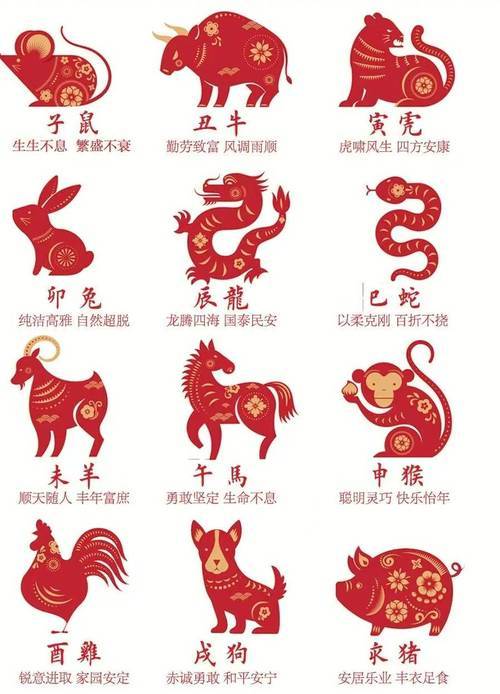 新澳特碼，羊?；⒏鲾?shù)10的獨(dú)特魅力與探索，新澳特碼，羊?；⒏鲾?shù)10的獨(dú)特魅力與奧秘探索