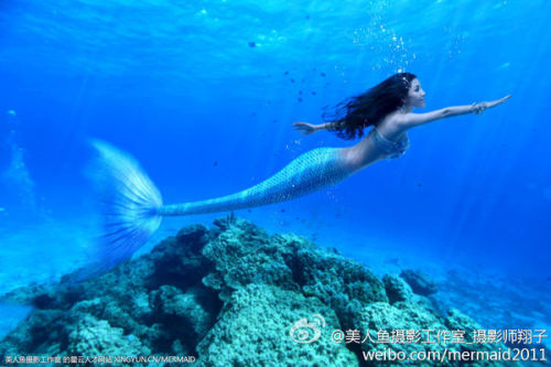 澳門美人魚最快開(kāi)獎(jiǎng)結(jié)果圖——揭秘?zé)衢T彩票游戲背后的秘密，澳門美人魚彩票開(kāi)獎(jiǎng)揭秘，最新結(jié)果圖與游戲背后秘密探索