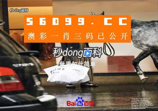 新澳一碼三中三資料，探索與解析，新澳一碼三中三資料解析與探索
