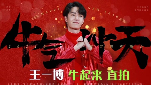 探尋王中王，揭秘發(fā)個王中王一肖中特背后的奧秘，揭秘王中王，探尋發(fā)個王中王一肖中特背后的神秘奧秘