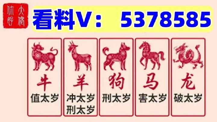 澳門馬站最快開獎(jiǎng)結(jié)果，探索與解析，澳門馬站最新開獎(jiǎng)結(jié)果解析