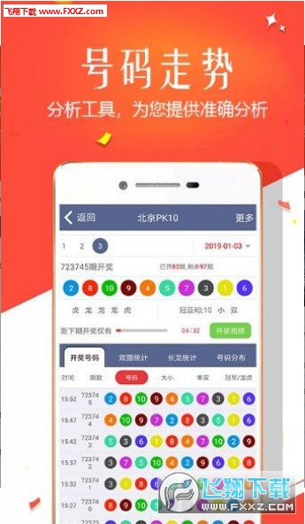 王中王四肖選一，揭秘選擇與優(yōu)化策略，王中王四肖選一，選擇與優(yōu)化策略的揭秘