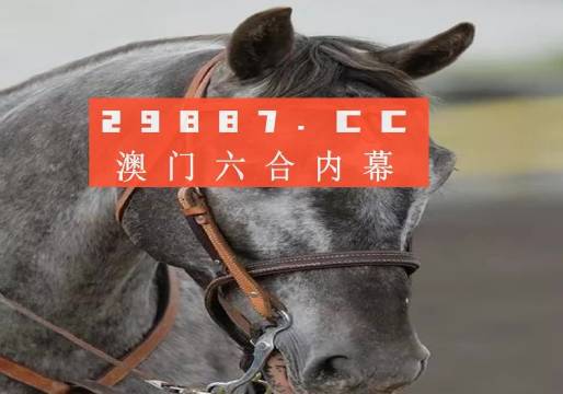 澳門一一碼一特一中準(zhǔn)選今晚，探索真實(shí)有效的選擇與策略，澳門今晚一特一中準(zhǔn)選碼，真實(shí)有效的選擇與策略探索