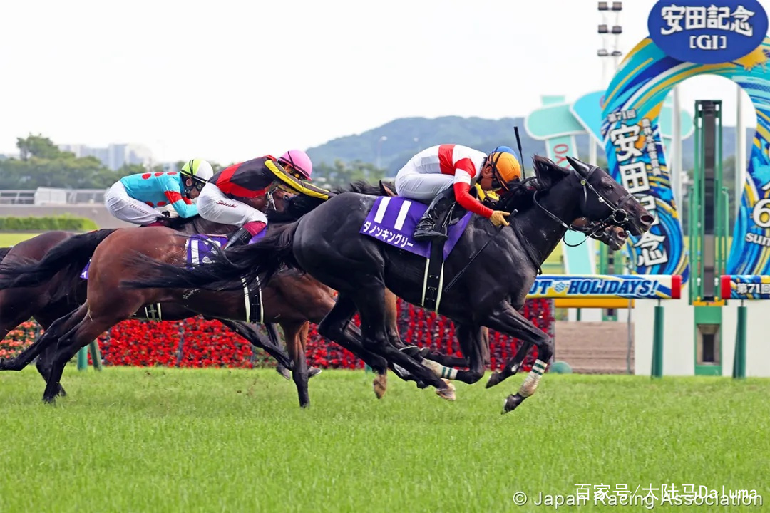 香港王中王與一馬中特肖的獨(dú)特魅力，深度解析與探索，香港王中王與一馬中特肖的獨(dú)特魅力，深度探索與解析