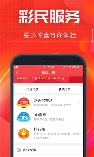 一肖二碼中特王中王——揭秘彩票背后的秘密，揭秘彩票背后的秘密，一肖二碼中特王中王的故事