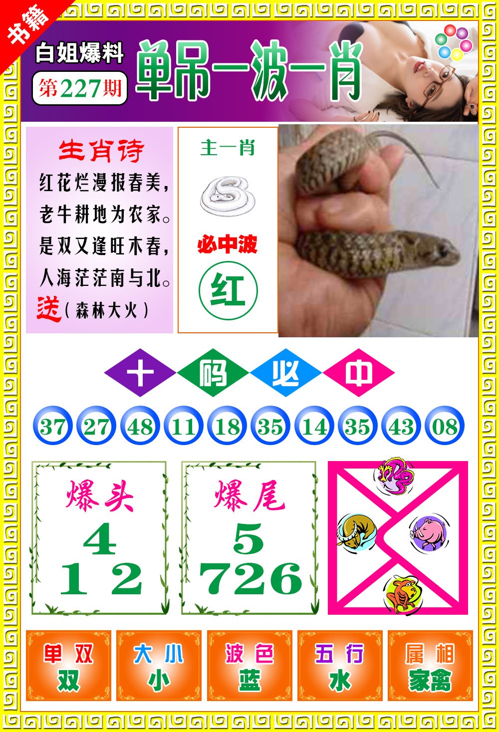 王中王免費(fèi)開獎(jiǎng)一肖結(jié)果，揭秘彩票背后的秘密，揭秘王中王彩票開獎(jiǎng)內(nèi)幕，一肖結(jié)果背后的秘密揭曉
