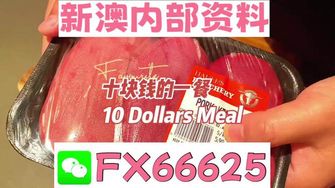 揭秘2025新澳精準(zhǔn)資料免費(fèi)大全——一站式獲取最新資源，揭秘2025新澳精準(zhǔn)資料免費(fèi)大全，最新資源一站式獲取