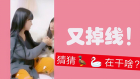 王中王欲錢詩猜一肖，王中王欲錢詩暗示的生肖之謎