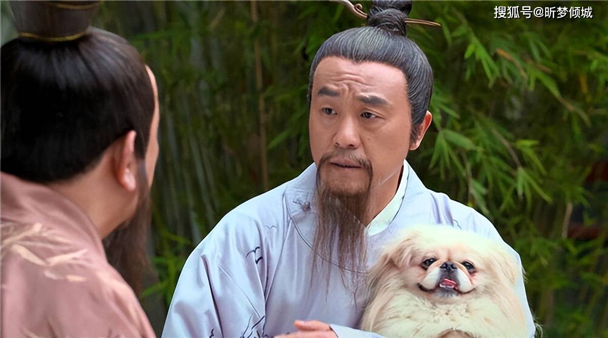 揭秘劉伯溫四不象一肖的神秘面紗——探尋背后的傳奇故事，揭秘劉伯溫四不象一肖背后的傳奇故事，神秘面紗下的神秘傳說(shuō)