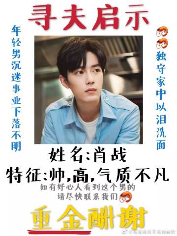 一肖一碼一一肖一子善，探尋命運(yùn)密碼與智慧之光的完美結(jié)合，命運(yùn)密碼與智慧之光，一肖一碼一一肖一子善的探尋