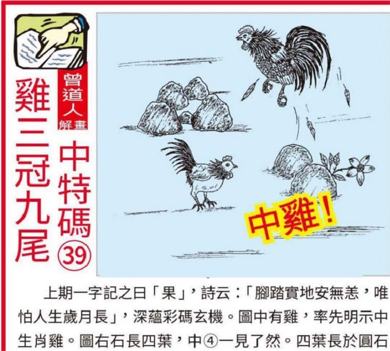 澳門(mén)2025全年資料大全正版資料權(quán)威指南，澳門(mén)2025全年正版權(quán)威指南，全面資料大全與權(quán)威解讀
