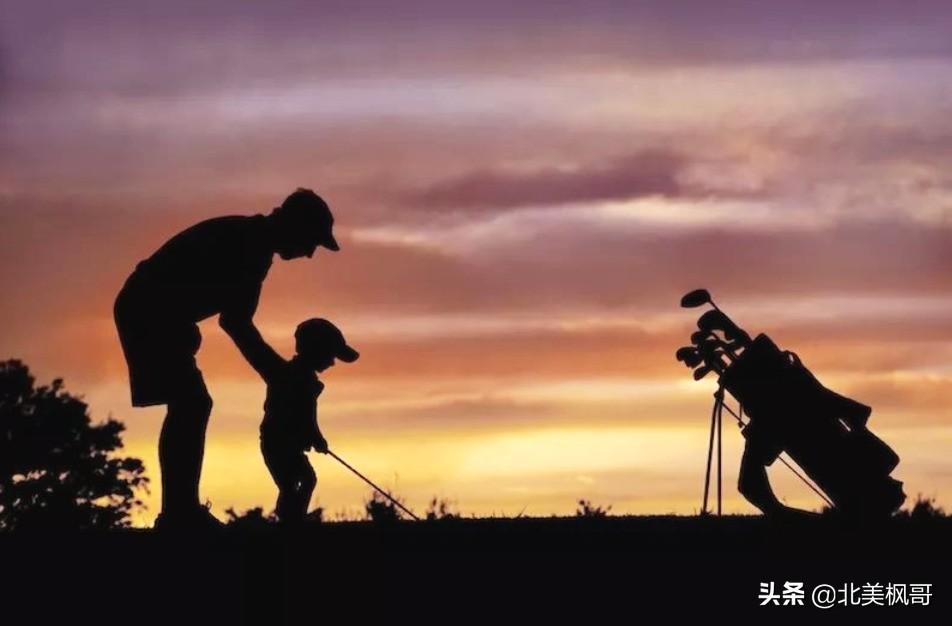 森林高手王中王與神秘生肖——深度解讀背后的故事與秘密，森林高手王中王與神秘生肖，故事背后的深度解讀與秘密探尋