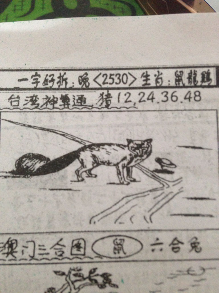 揭秘生肖奧秘，看圖猜一生肖劉伯溫的傳奇故事，揭秘生肖奧秘，劉伯溫傳奇故事中的生肖之謎探索