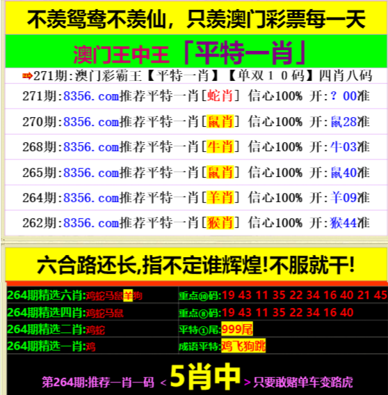 王中王資料一肖中特，深度解析與SEO優(yōu)化策略，王中王資料一肖中特深度解析與SEO優(yōu)化策略指南