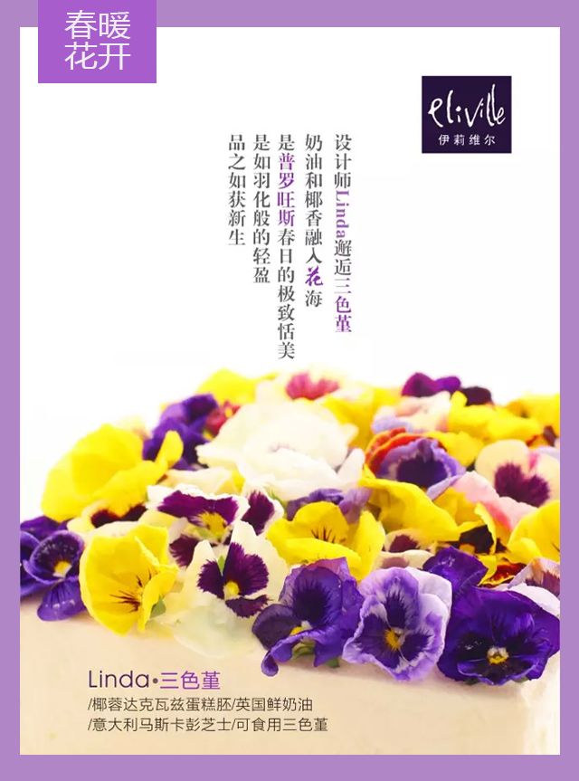王中王339期指一生肖——探尋背后的秘密與玄機(jī)，探尋王中王339期生肖背后的秘密與玄機(jī)