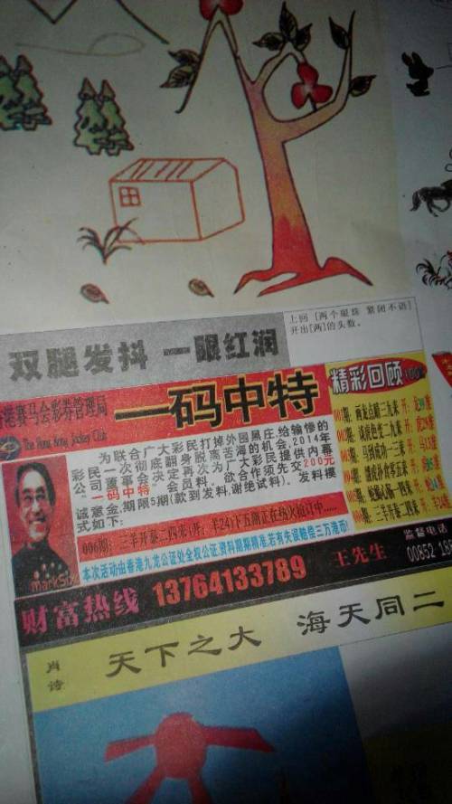 欲錢詩猜一肖——探尋王中王的奧秘，探尋王中王的奧秘，欲錢詩猜一肖