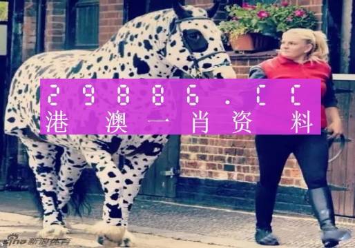 王中王一肖一特一中香港，探索關(guān)鍵詞背后的故事，香港關(guān)鍵詞背后的故事探索，王中王一肖一特一中