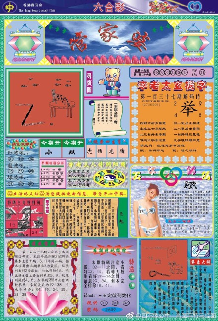 王中王四肖三期開特一，深度解析與探索，王中王四肖三期開特一，深度剖析與探索揭秘