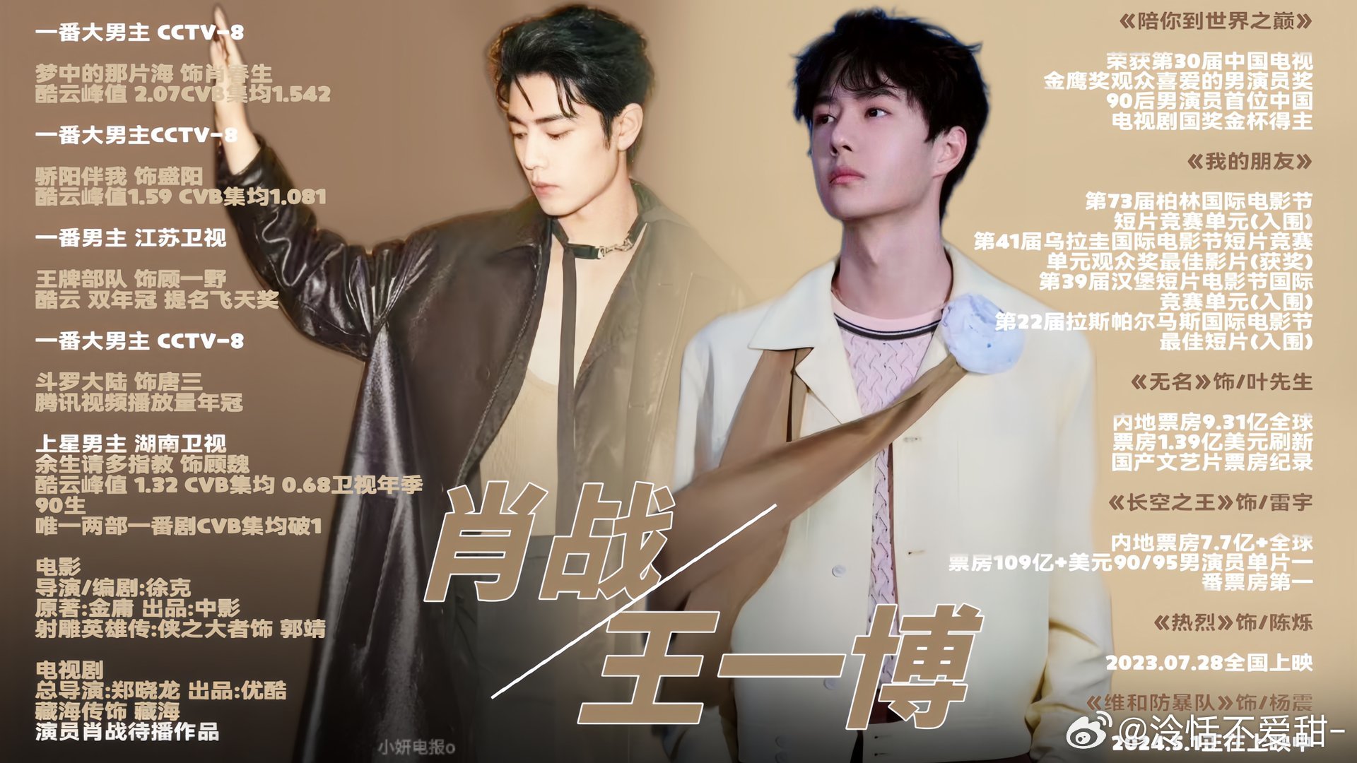 王中王一肖中特全年資料解析與SEO優(yōu)化策略，王中王一肖中特全年資料解析與SEO策略詳解