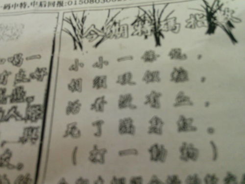 揭秘劉伯溫的一肖一特，探尋神秘傳奇背后的真相，劉伯溫傳奇揭秘，揭秘生肖之謎與獨(dú)特特質(zhì)背后的真相
