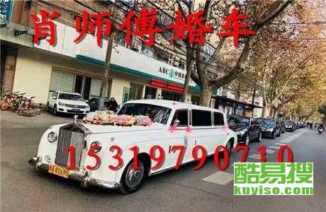 王中王車(chē)奪平特一肖免費(fèi)——深度解析與探索，王中王車(chē)奪平特一肖，深度解析與免費(fèi)探索