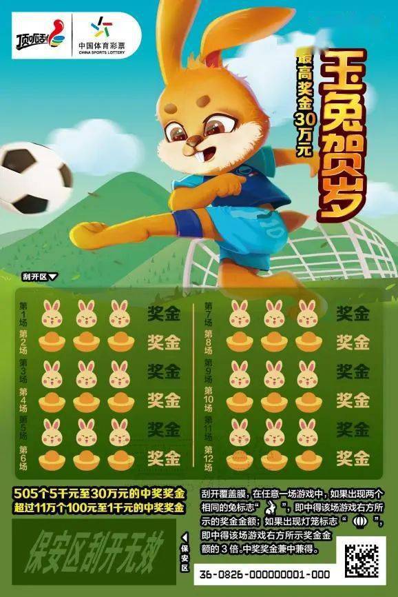 王中王一肖中特兔費(fèi)，探索關(guān)鍵詞背后的奧秘，探索關(guān)鍵詞王中王一肖中特兔費(fèi)背后的奧秘