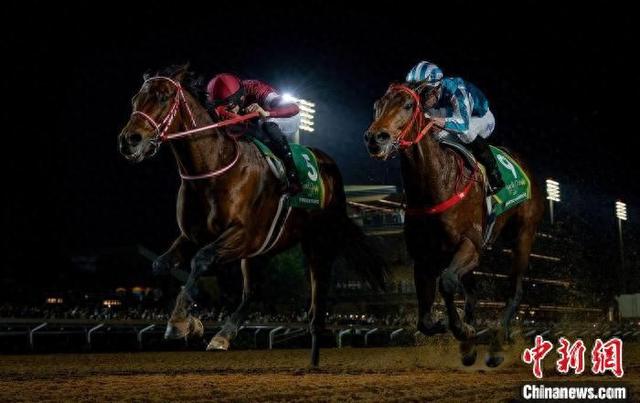 香港王中王一肖中特馬，探索背后的奧秘，香港王中王一肖中特馬背后的奧秘探索