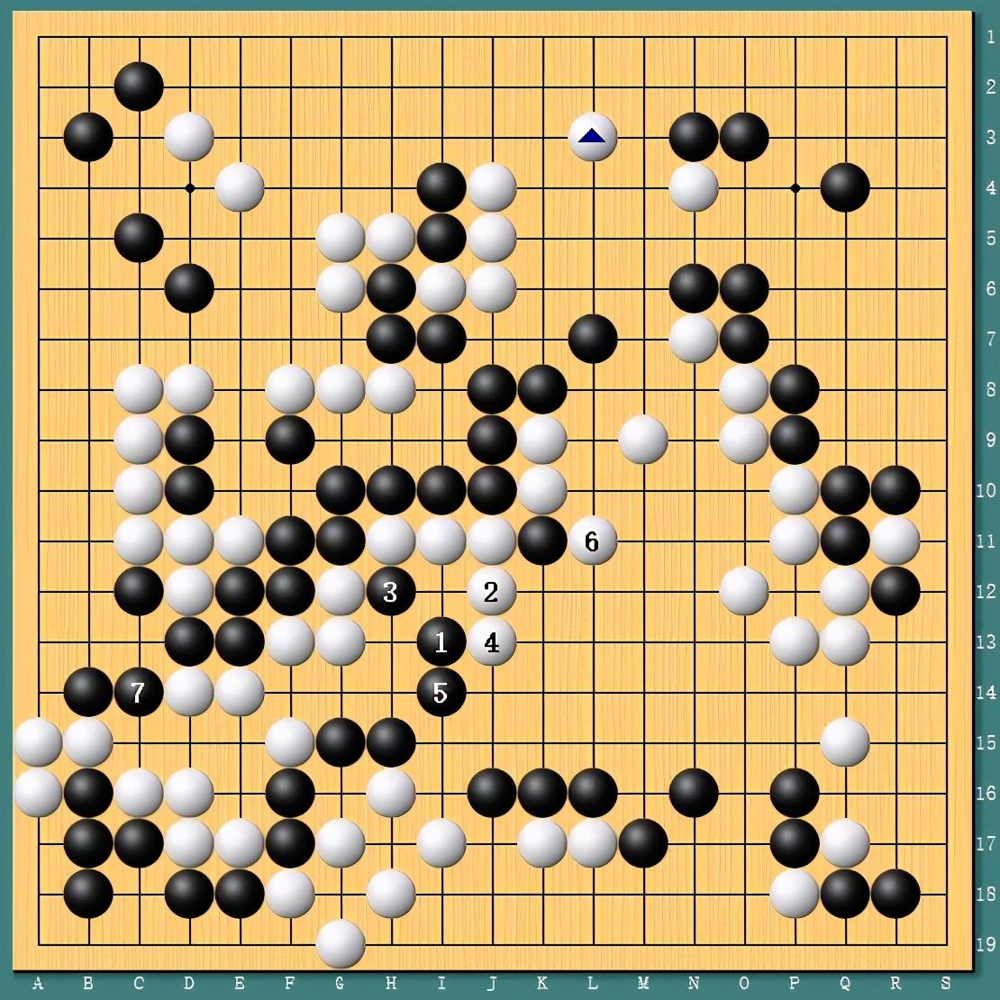 王中王四肖一碼資料論壇，探索與解析，王中王四肖一碼資料論壇，深度探索與解析