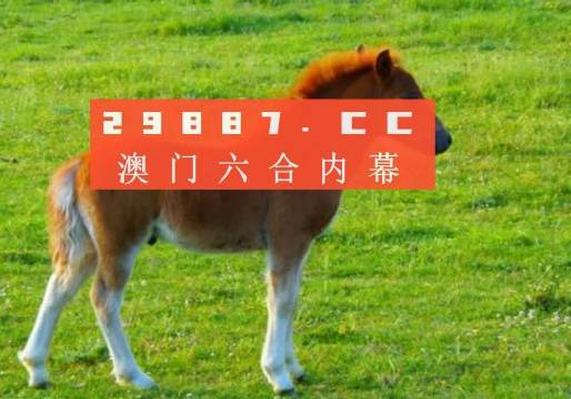 新奧門一肖一馬平特大全，揭秘?zé)衢T關(guān)鍵詞背后的故事，揭秘新澳門熱門關(guān)鍵詞背后的故事，一肖一馬平特大全