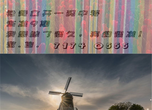 王中王四肖三期必出一期，揭秘彩票背后的秘密策略與技巧，揭秘彩票策略與技巧，王中王四肖三期必出一期之道