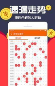 王中王一肖十，深度解析與SEO優(yōu)化策略，王中王一肖十深度解析與SEO優(yōu)化策略探討