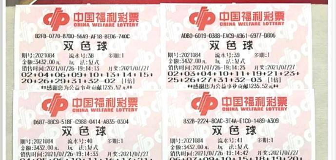 王中王084期指一生肖，解讀背后的秘密與生肖運(yùn)勢(shì)分析，王中王084期生肖揭秘，秘密解讀與運(yùn)勢(shì)展望