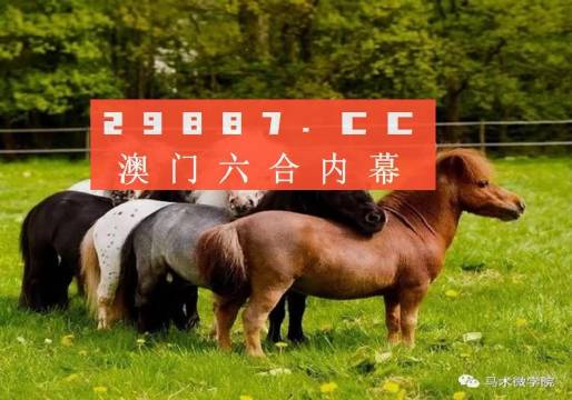 王中王四不像平特一肖圖，揭秘背后的神秘奧秘，揭秘王中王四不像平特一肖圖的神秘奧秘