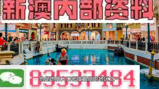 澳門王中王六碼新澳門，探索與解析，澳門王中王六碼新澳門，深度探索與解析