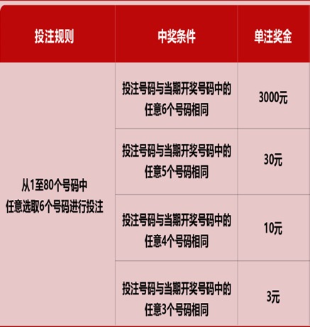 新澳門六開彩天天開獎結果，揭秘彩票背后的秘密，揭秘新澳門六開彩天天開獎背后的秘密