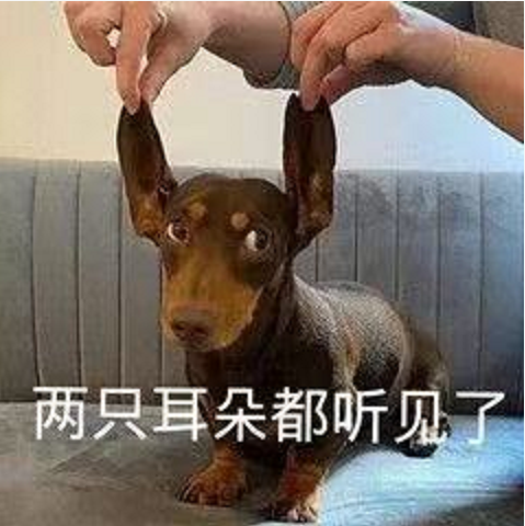 王中王四不象必中一肖，揭秘背后的秘密與策略，揭秘王中王四不象必中一肖背后的秘密與策略之道